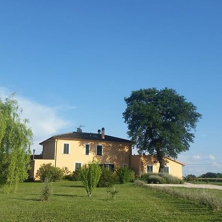 B&B Le Rose Spello Esterno foto