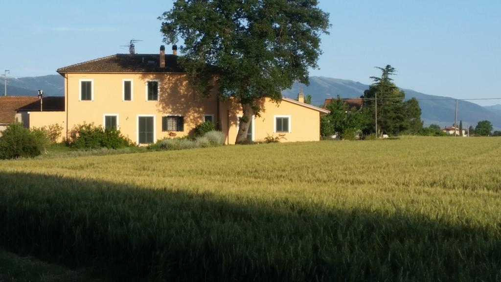 B&B Le Rose Spello Esterno foto