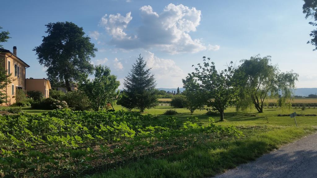 B&B Le Rose Spello Esterno foto