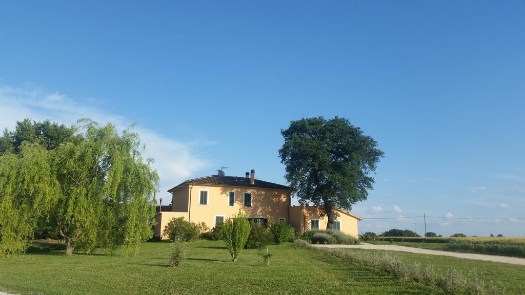 B&B Le Rose Spello Esterno foto